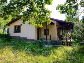 3 Bedroom House In The National Park of Dilijan